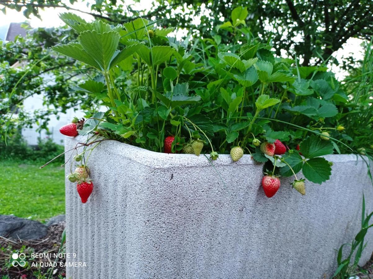 Ferienwohnung Il Giardino Segreto Beura Exterior foto